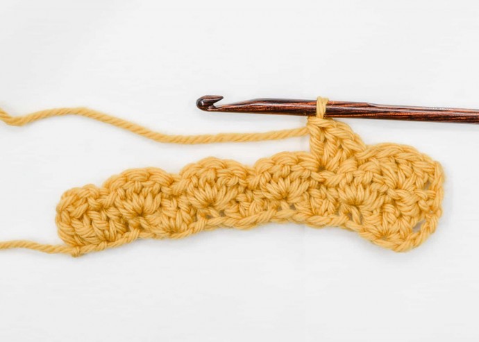 Fan Stitch Crochet Photo Tutorial