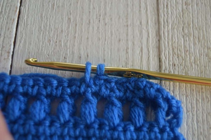 How to Crochet the Blue Frost Stitch Photo Tutorial