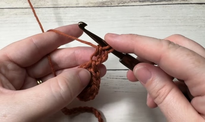 How to Crochet the Nickel Stitch Photo Tutorial