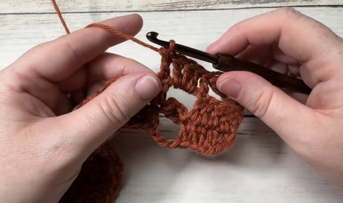 How to Crochet the Nickel Stitch Photo Tutorial