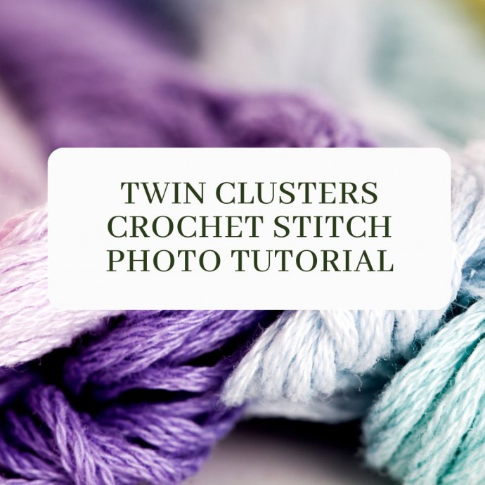 Twin Clusters Crochet Stitch Photo Tutorial