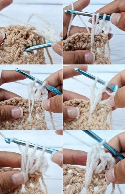 How To Crochet The Cat Stitch Photo Tutorial