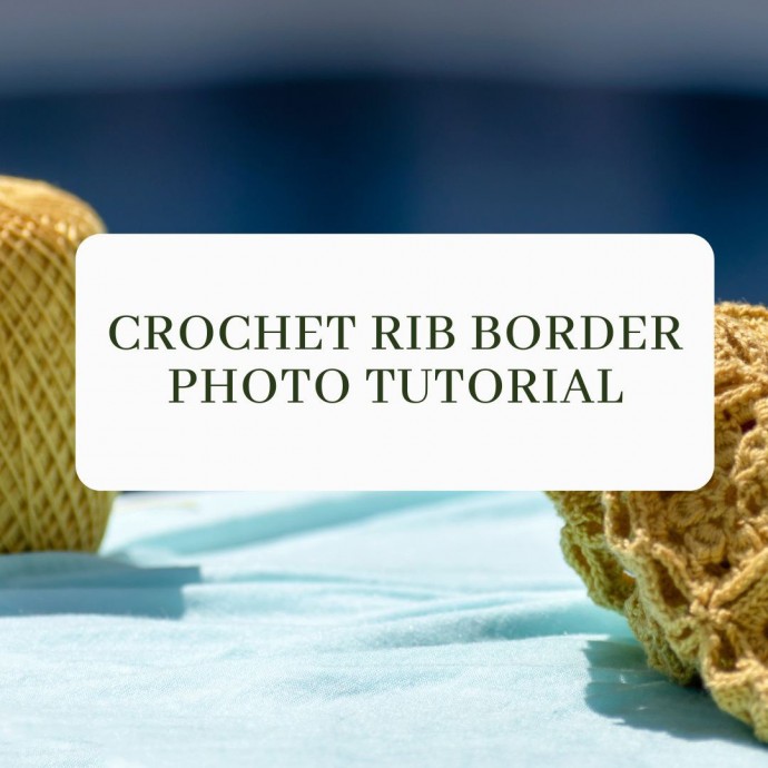 Crochet Rib Border Photo Tutorial