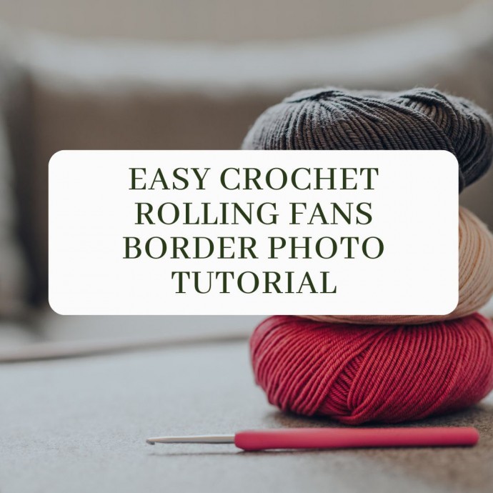 Easy Crochet Rolling Fans Border Photo Tutorial