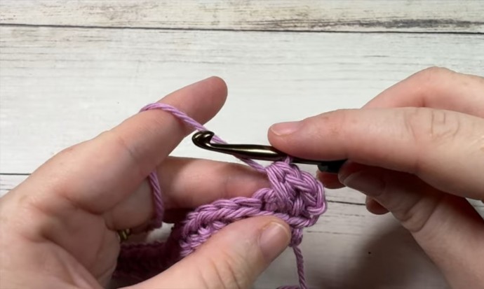 How to Crochet the Bramble Stitch Photo Tutorial