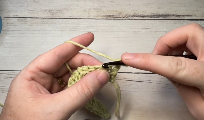 How to Crochet the Pretty Puffs Stitch Photo Tutorial