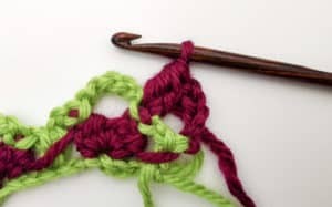 Rose Garden Crochet Stitch Photo Tutorial