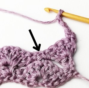 The Fantail Shell Crochet Stitch Photo Tutorial