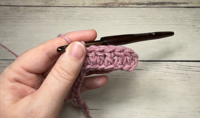 How to Crochet the Boardwalk Stitch Photo Tutorial