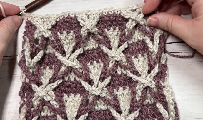 How to Crochet the Polish Star Stitch Photo Tutorial