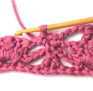 Flower and Triangle Crochet Stitch Photo Tutorial