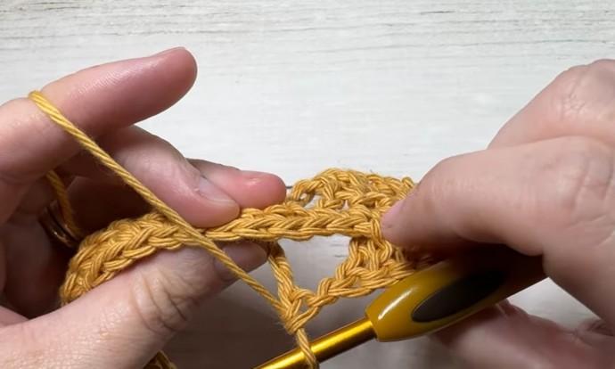 How to Crochet the Wheat Stitch Photo Tutorial