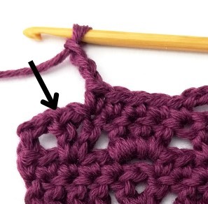 How to Crochet the Alternating V and Block Stitch Photo Tutorial