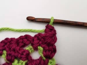 Rose Garden Crochet Stitch Photo Tutorial