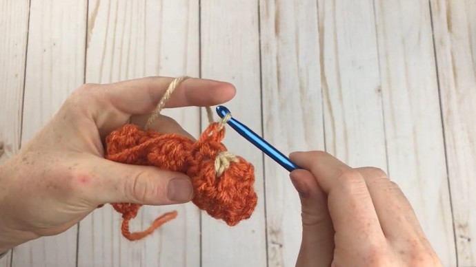 How to Crochet the Pumpkin Patch Stitch Photo Tutorial