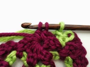 Rose Garden Crochet Stitch Photo Tutorial