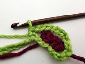 Rose Garden Crochet Stitch Photo Tutorial