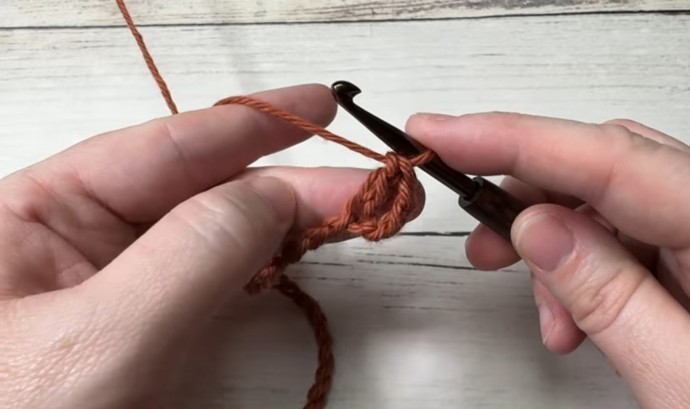 How to Crochet the Nickel Stitch Photo Tutorial