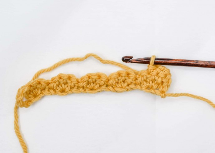 Fan Stitch Crochet Photo Tutorial