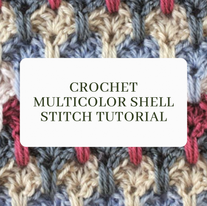 Crochet Multicolor Shell Stitch