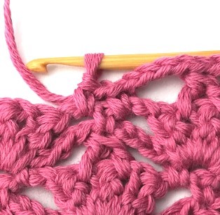 Flower and Triangle Crochet Stitch Photo Tutorial