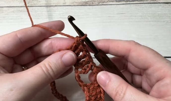 How to Crochet the Nickel Stitch Photo Tutorial