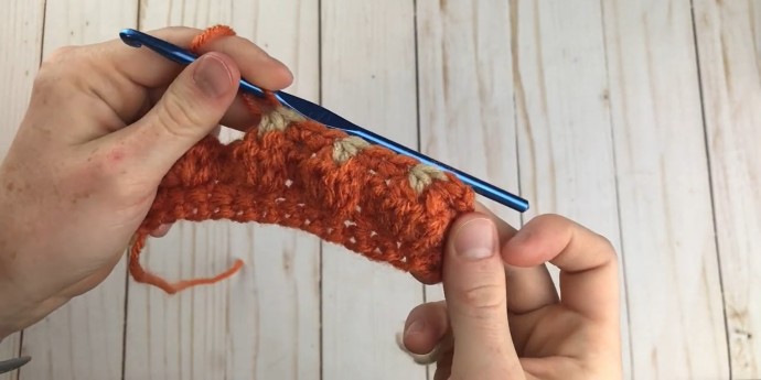 How to Crochet the Pumpkin Patch Stitch Photo Tutorial