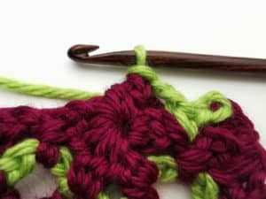 Rose Garden Crochet Stitch Photo Tutorial