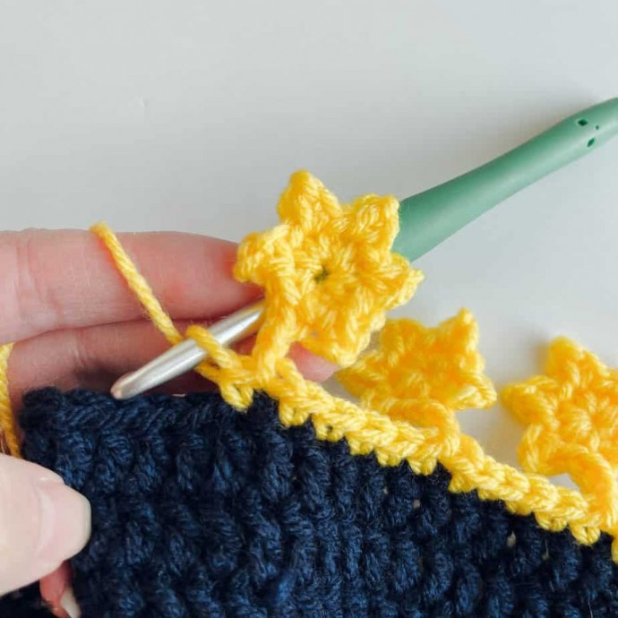 How to Crochet Star Border Photo Tutorial