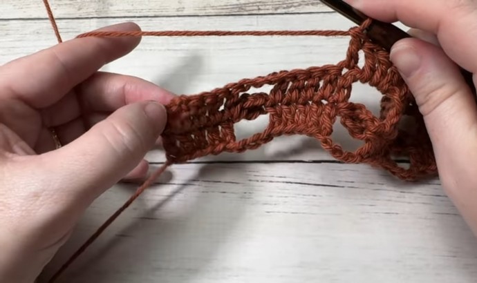 How to Crochet the Nickel Stitch Photo Tutorial