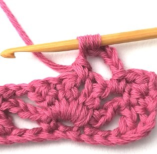 Flower and Triangle Crochet Stitch Photo Tutorial