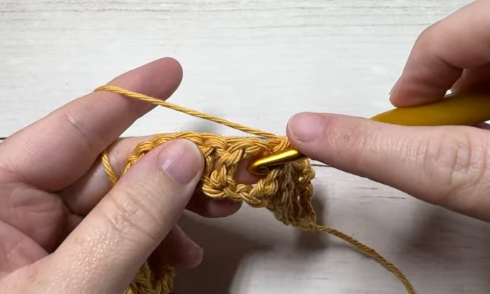 How to Crochet the Wheat Stitch Photo Tutorial