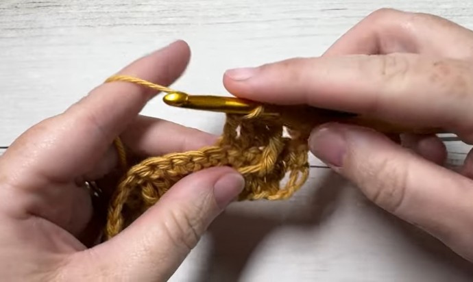 How to Crochet the Wheat Stitch Photo Tutorial