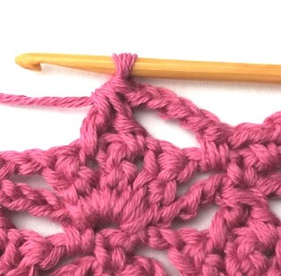 Flower and Triangle Crochet Stitch Photo Tutorial