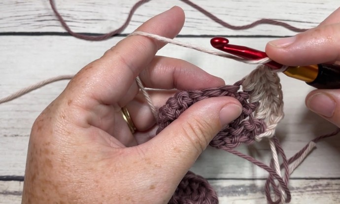 How to Crochet the Circle Stitch Photo Tutorial