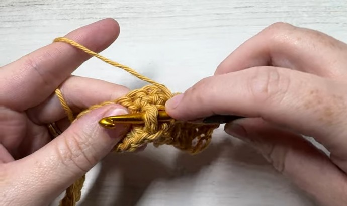 How to Crochet the Wheat Stitch Photo Tutorial