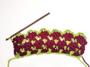 Rose Garden Crochet Stitch Photo Tutorial