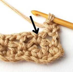 Blossom Crochet Stitch Photo Tutorial