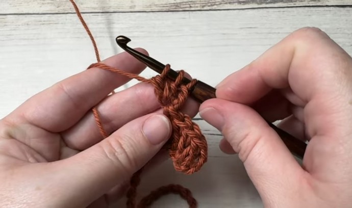 How to Crochet the Nickel Stitch Photo Tutorial