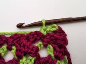 Rose Garden Crochet Stitch Photo Tutorial