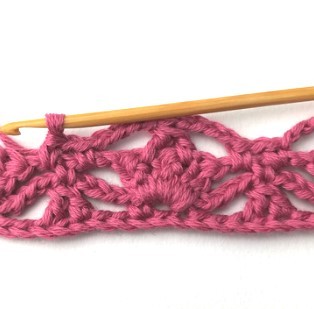 Flower and Triangle Crochet Stitch Photo Tutorial