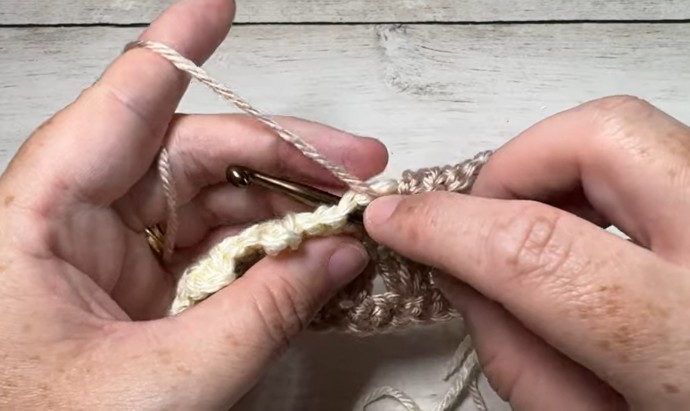 How to Crochet the Picot Waves Stitch Photo Tutorial