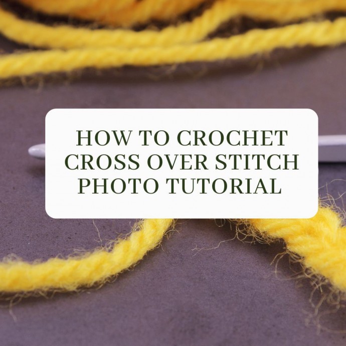 How to Crochet Cross Over Stitch Photo Tutorial