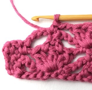 Flower and Triangle Crochet Stitch Photo Tutorial