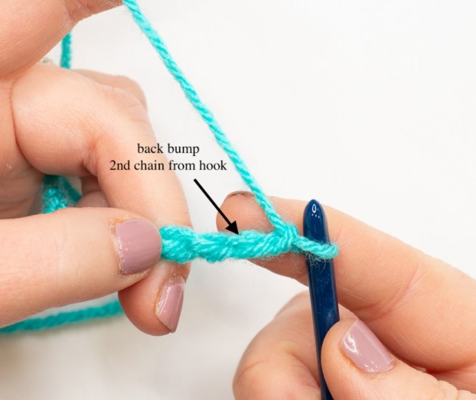 How to Crochet in the Back Bumps of a Chain Tutorial