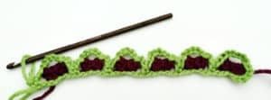 Rose Garden Crochet Stitch Photo Tutorial