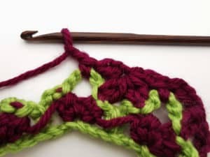 Rose Garden Crochet Stitch Photo Tutorial