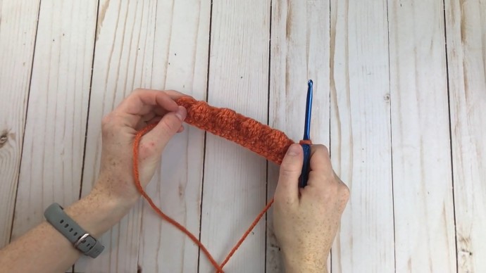 How to Crochet the Pumpkin Patch Stitch Photo Tutorial