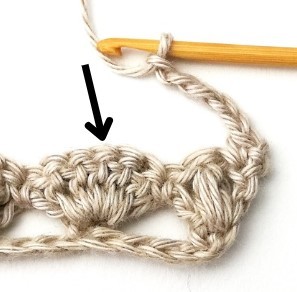 The Shell and Puff V Crochet Stitch Photo Tutorial