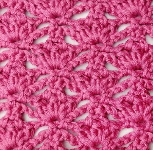 Flower and Triangle Crochet Stitch Photo Tutorial